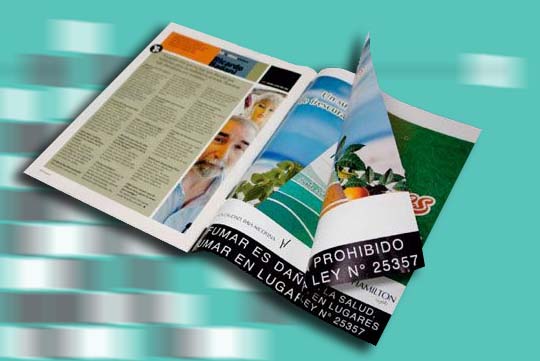 Formatos de publicidad en revistas